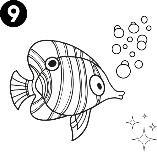 Under the Sea